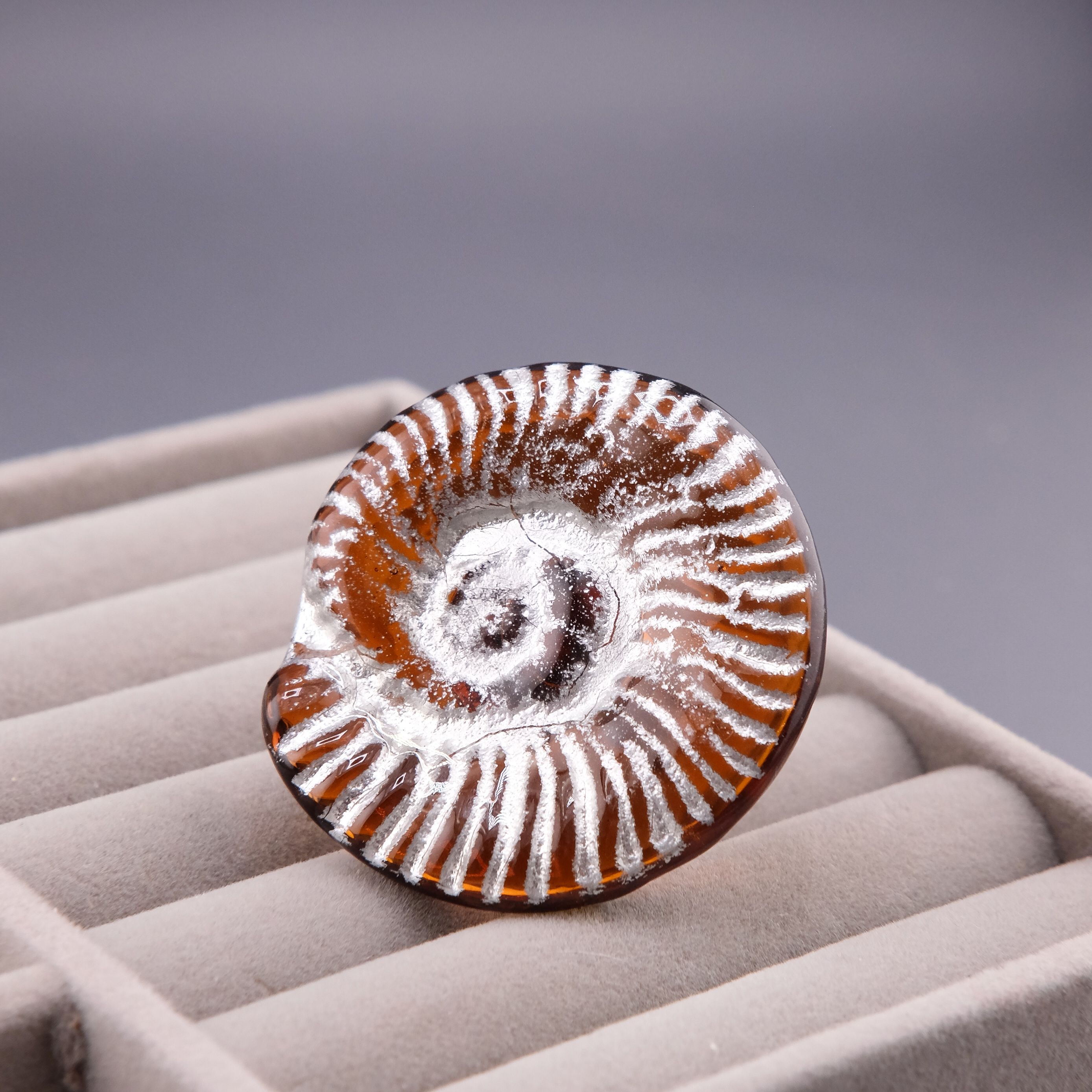 Кольцо "Ammonit Silver"